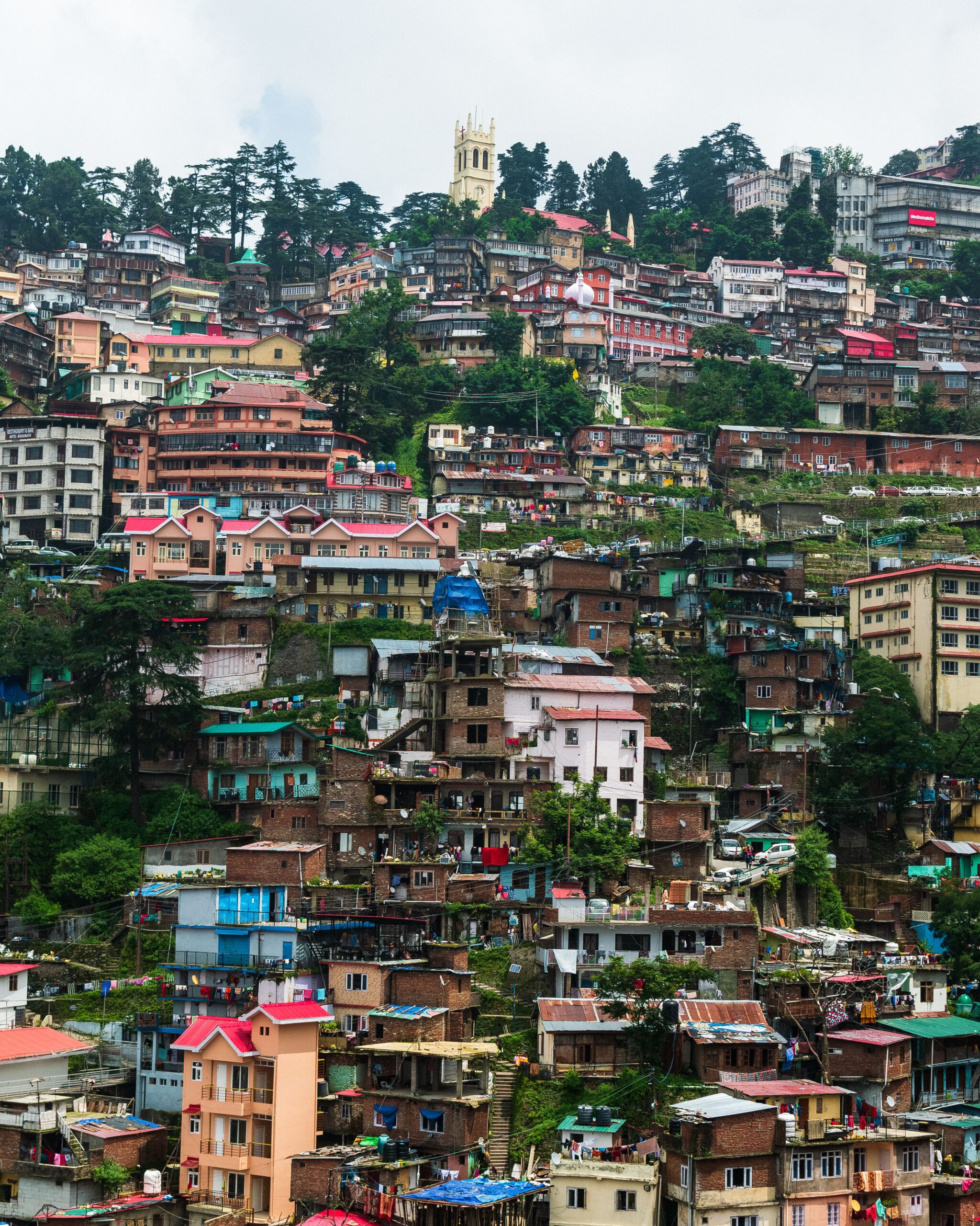 shimla