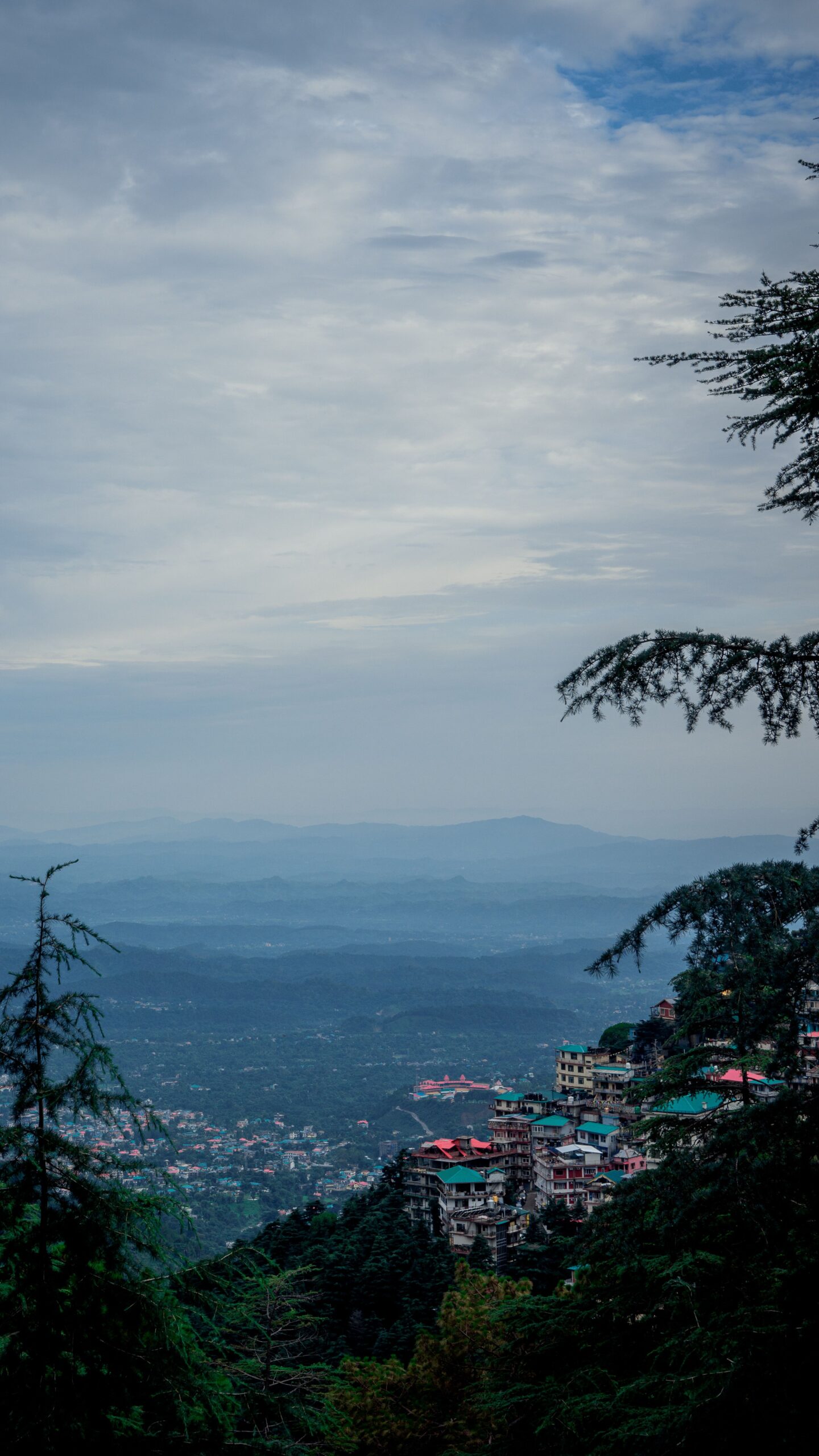 dalhousie