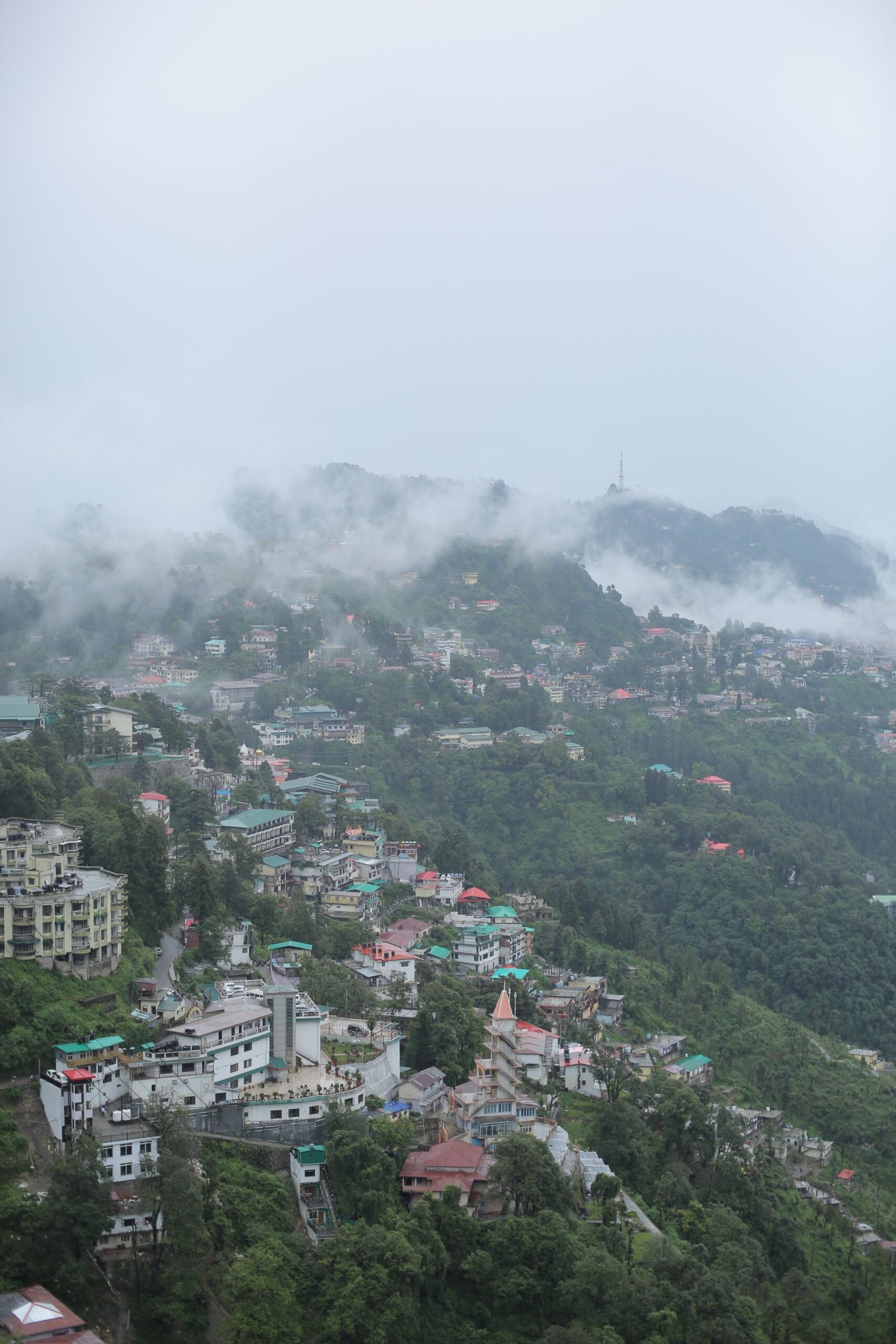 Delhi to Kasauli Round Trip